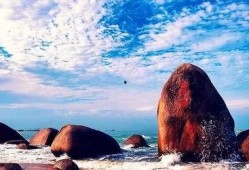 每日大赛海角吃瓜在线观看,每日大赛精彩瞬间在线直播回顾