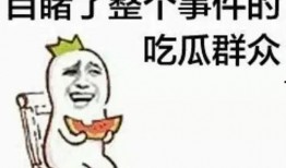 靴子吃瓜群众,揭秘娱乐圈幕后风云