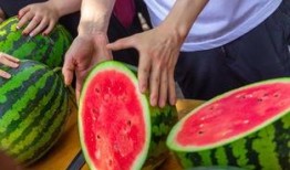 五一今日吃瓜,盘点那些年我们追过的热点事件
