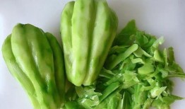 每日智慧吃瓜,揭秘娱乐圈幕后真相，带你领略娱乐界的智慧风采