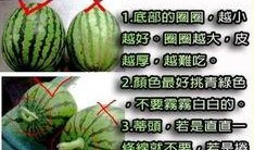 在哪吃网红瓜好吃又健康,网红瓜的绝佳品尝地