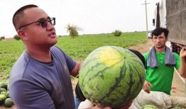 今日吃瓜每日大瓜在线观看,揭秘热门大瓜，在线观看尽享娱乐盛宴