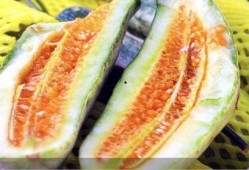 山东今日吃瓜事件,一场网络热议背后的真相探寻
